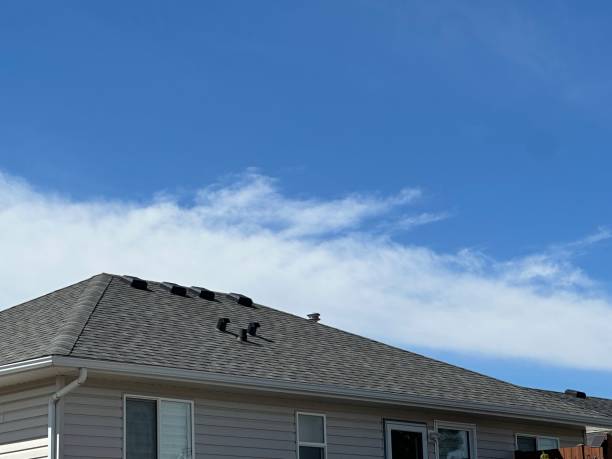 Professional Roofing Service in Premont, TX